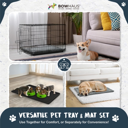 Coussin et plateau pour chien BOWHAUS lavables à la machine pour chenil de 36 po