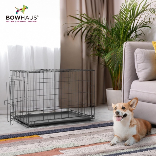 BOWHAUS 41-Inch Dog Crate Pan Replacement, Sturdy, Waterproof Plastic Tray for 42-Inch Pet, Rabbit Ferret Critter Kennels, Versatile Pan and Easy to