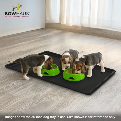 BOWHAUS 41-Inch Dog Crate Pan Replacement, Sturdy, Waterproof Plastic Tray for 42-Inch Pet, Rabbit Ferret Critter Kennels, Versatile Pan and Easy to