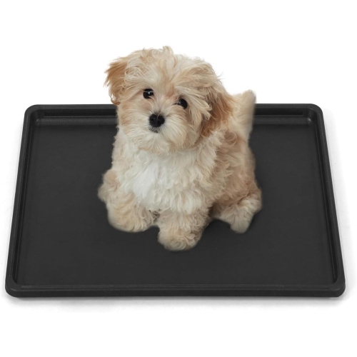 BOWHAUS 22.7-Inch Dog Crate Pan Replacement, Sturdy, Waterproof Plastic Tray for 24-Inch Pet, Rabbit Ferret Critter Kennels, Versatile Pan and Easy