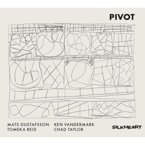 MATS GUSTAFSSON / KEN VANDERMARK / TOMEKA REID - Pivot - [CD]