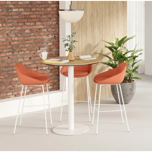 Branch Bistro Bar Stool – Sturdy, Comfortable Bar Height Seating with Sleek Design for Home or Commercial Spaces - Burnt Orange
