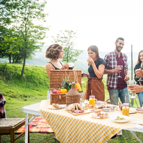 Table pliante portative extérieure de 4 pi de Karl Home, jardin tout usage blanc
