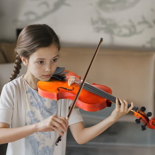 Nouveau étui de violon acoustique avec boucle de couleur rosine naturelle pour débutant de 4/4