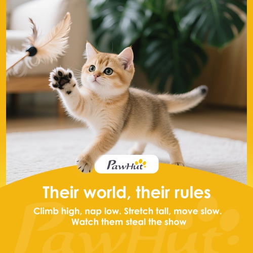 PawHut Cat Wall Shelves, 4 Pcs Cat Wall Furniture Set, Kitty Climber Set with Condo, Scratching Posts, Hammock, Bed, Hanging Pompoms for indoor