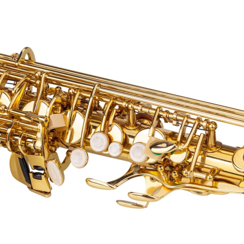 Alto Drop E Paint Gold Saxophone Paint Gold for Beginner