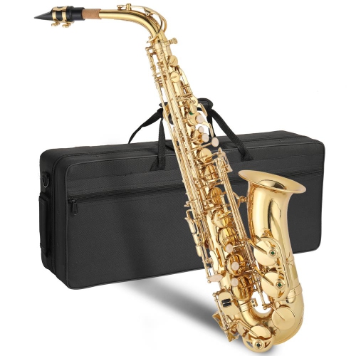 Alto Drop E Paint Gold Saxophone Paint Gold for Beginner