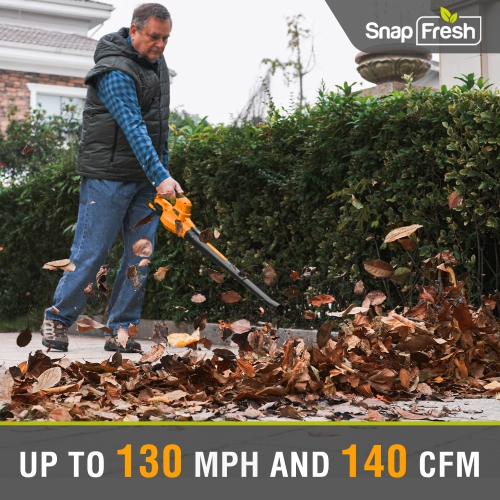 Souffleuse à feuilles sans fil 20 V SnapFresh, batterie 2,0 Ah et chargeur pour jardin de pelouse