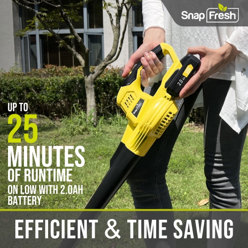 Souffleuse à feuilles sans fil 20 V de SnapFresh avec batterie 2,0 Ah et chargeur pour jardin de pelouse