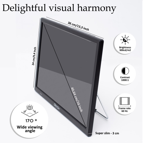 DenyDan 16-Inch Portable-Travel TV with Built-in Battery, Full HD, HDMI/USB/AV, 12V/24V/110V Power Options, Black