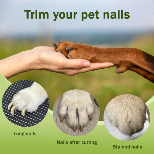 2-in-1 Dog Nail Grinder & Dog Nail Clippers Trimmers for Large Medium Small Dogs Cats Pets Claw Trimmer with LED Lights