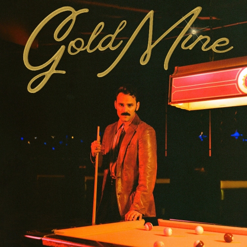 Stephen Day - Gold Mine [VINYL LP]
