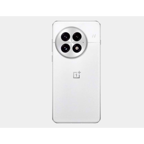 OnePlus 13 5G PJZ110 Dual SIM 256GB 12GB RAM GSM Unlocked - Arctic Dawn