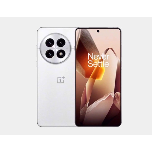 OnePlus 13 5G PJZ110 Dual SIM 256GB 12GB RAM GSM Unlocked - Arctic Dawn