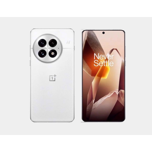 OnePlus 13 5G PJZ110 Dual SIM 256GB 12GB RAM GSM Unlocked - Arctic Dawn