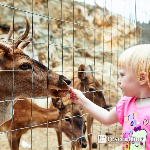Fencer Wire Welded Wire Fence 12.5 Gauge, Galvanized Welded Fence Wire Roll, Mesh Size 4-Inch x 4-Inch,