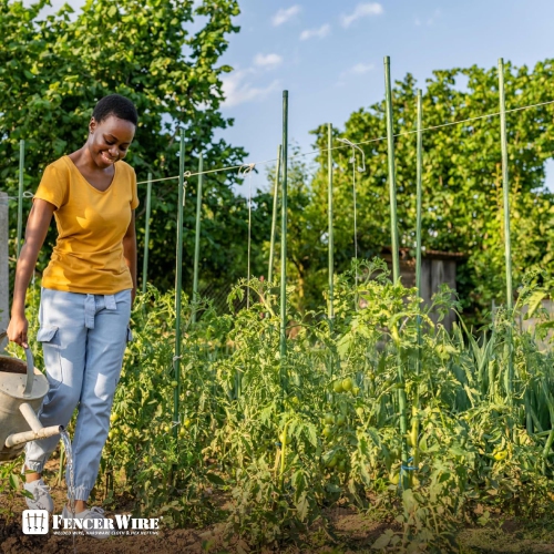 Piquets pour plantes en métal durable de CAPHAUS, paquet de 25 feuilles de 5&nbsp;pi PVC/60&nbsp;po