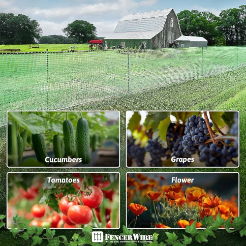 Piquets pour plantes en métal durable de CAPHAUS, paquet de 25 feuilles de 5&nbsp;pi PVC/60&nbsp;po