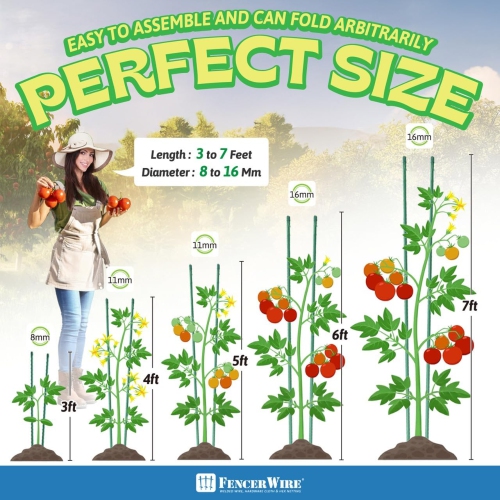 Piquets pour plantes en métal durable de CAPHAUS, paquet de 25 feuilles de 7&nbsp;pi PVC/84&nbsp;po