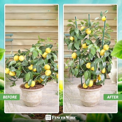 Piquets pour plantes en métal durable de CAPHAUS, paquet de 25 feuilles de 4&nbsp;pi PVC/48&nbsp;po