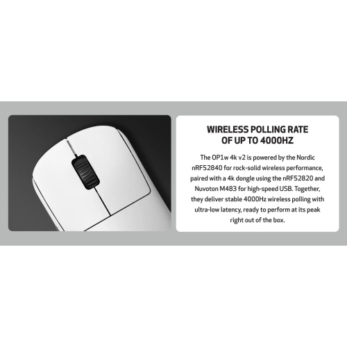 End Game Gear OP1w 4k v2 Wireless Gaming Mouse - Lightweight 58.5g, Right-Handed, 4K Dongle Included, White
