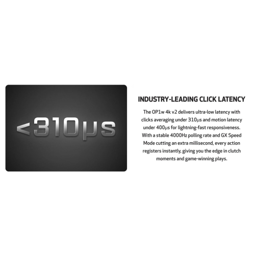 End Game Gear OP1w 4k v2 Wireless Gaming Mouse - Lightweight 58.5g, Right-Handed, 4K Dongle Included, Dark Frost