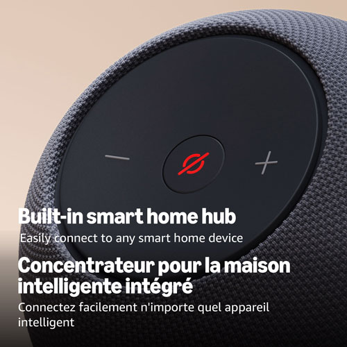 Amazon Echo Dot Max Smart Speaker with Alexa+ - Graphite