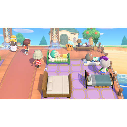 Animal Crossing: New Horizons - édition Nintendo Switch 2