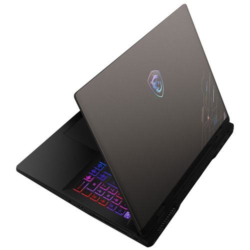 Portable de jeu Crosshair 16 HX de 16 po de MSI - Gris cosmos (Core i7-14650HX d'Intel/RAM 16 Go/disque SSD 1 To/GeForce RTX 4070)