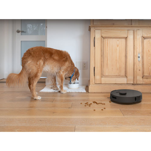 bObsweep Bio WiFi Connected Self-Empty Robot Vacuum & Mop - Rock - Only at Best Buy