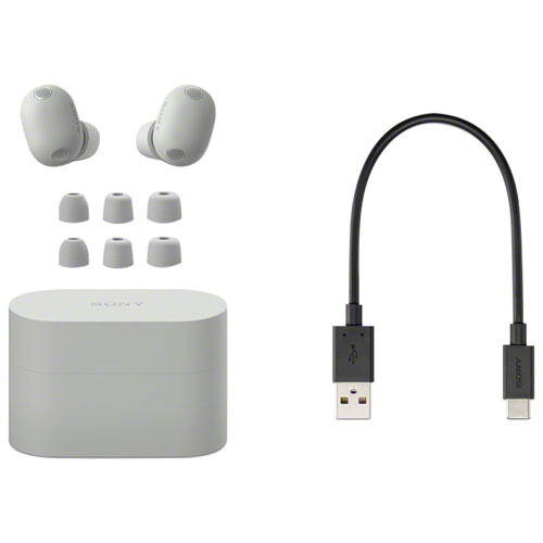 Sony WF-1000XM6 In-Ear Noise Cancelling True Wireless Earbuds - Silver