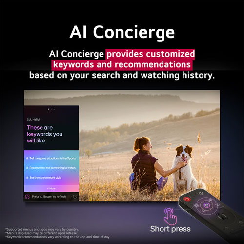 Téléviseur intelligent webOS mini-DEL HDR UHD 4K QNED91 evo AI de 75 po de LG (75QNED91AUA.ACCQ) - 2026