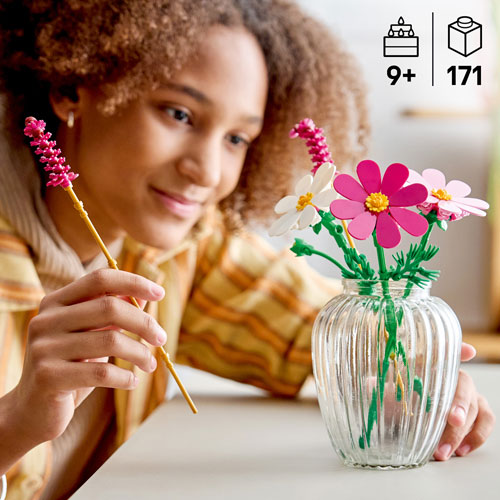 LEGO: Botanicals Cosmos Flowers - 171 Pieces (11514)
