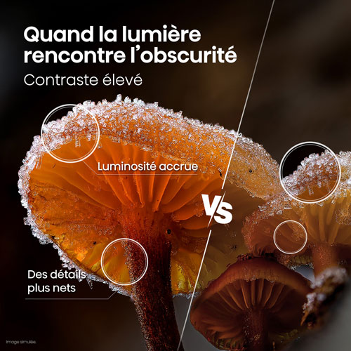 Téléviseur intelligent Roku QLED HD à DEL Hisense QD4HSR de 32 po (32QD4HSR) - 2026 - Idéal pour les sports et le jeu