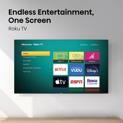 Téléviseur intelligent Roku QLED HD à DEL Hisense QD4HSR de 32 po (32QD4HSR) - 2026 - Idéal pour les sports et le jeu