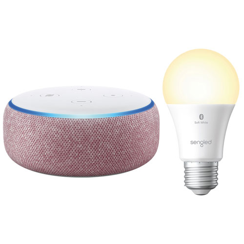 amazon echo dot led lights