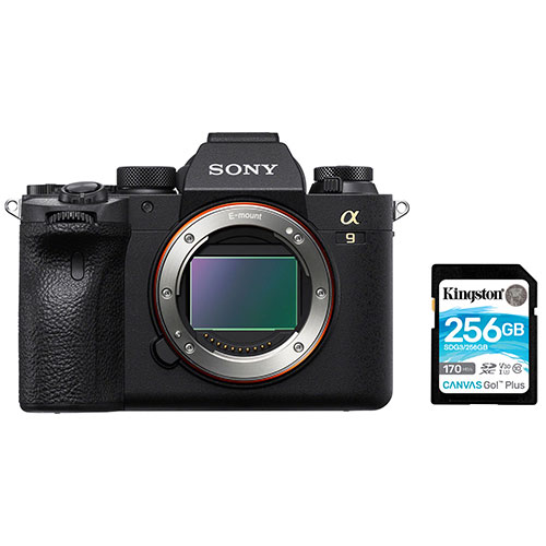 Sony Alpha a9 II Full-Frame Mirrorless Camera with 256GB Memory Card