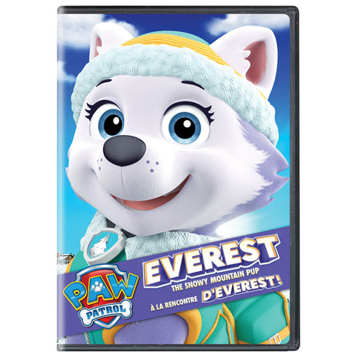 buy everest paw patrol